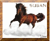 Susan's Stallion in the sky