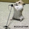 rockstar hamster