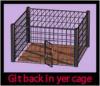 get back in your cage