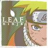 Leaf Ninja