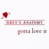 greys anatomy love it