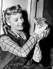 Elizabeth Taylor, Actress, Vintage, cat
