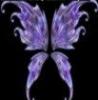 Purple wings