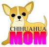 Chihuahua Mom