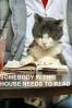 CAT READING BOOK
