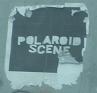 polaroid scene