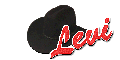 Cowboy Hat Levi