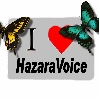 www.Hazaravoice.com