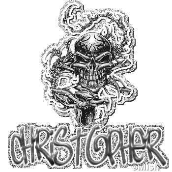 christopher glitter skull