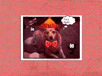 Dorky Dog
