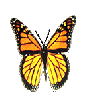 Monarch flap