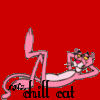 chill cat pink panter
