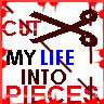 cut my life into pieces
