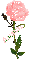Austin-Pink Spakly Rose
