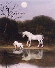 Unicorns together