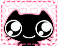 cute cat