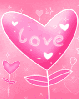 pink heart flower