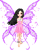 Pink Fairy
