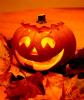 Pumpkin - Halloween