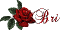 Bri-Red Rose