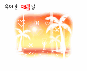 summer beach & palm trees