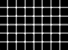 black dots