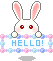 hello bunny