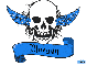 maegyn blue skull