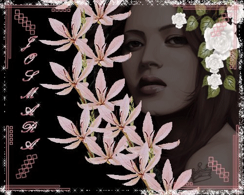 FLORES BELAS