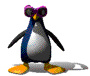 Weird Penguin