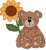 Bear and Sunflower