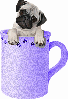 Cup Of Pug