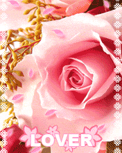 cute love