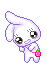 white bunny 
