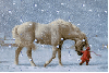 horse and child in snow