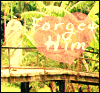 forget him