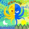 Gemini octopus